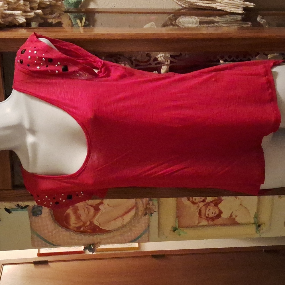 Like NEW,Deep Burgundy-Red,Top with Long Back Tail & Sparkly ✨️ Sequin,Sleeves♥️